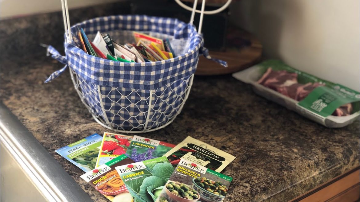 My Seed Collection! + Garden Plans 2020