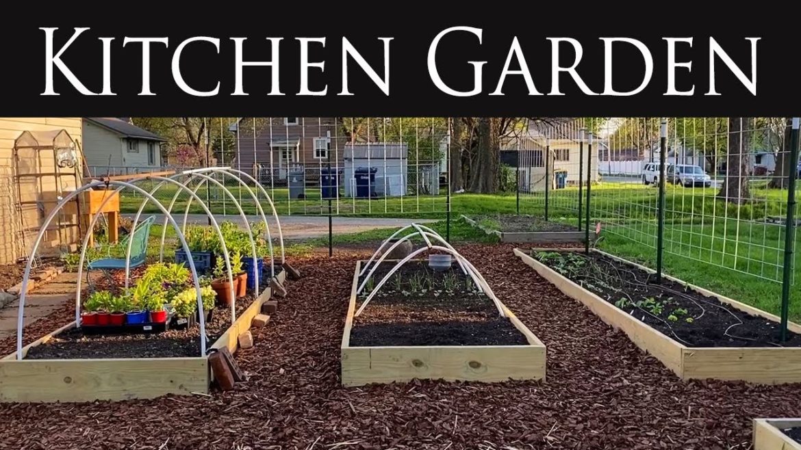Turning my backyard into a VEGETABLE Kitchen GARDEN 🥬 Part 2 🐞 Indiana Zone 5 Turning my backyard into a VEGETABLE Kitchen GARDEN 🥬 Part 2 🐞 Indiana Zone 5