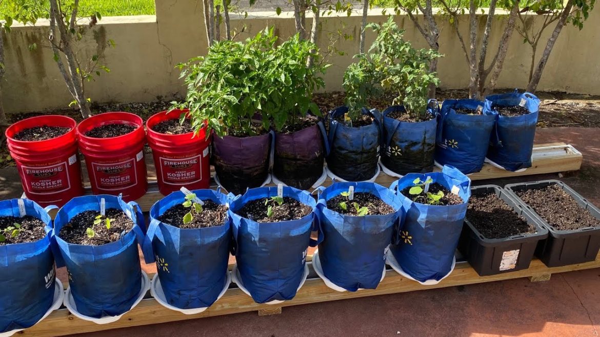 Self Watering Grow Bags / Rain Gutter Grow System / Container Garden