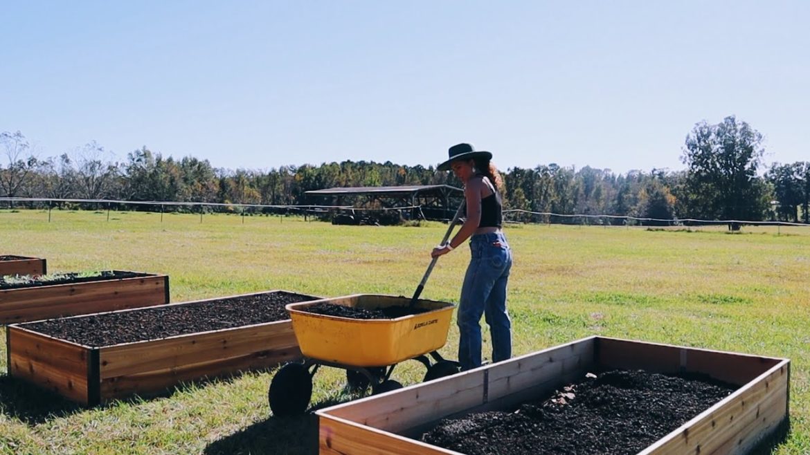Finishing and Planting the Winter Raised Bed Garden| North Florida Gardening