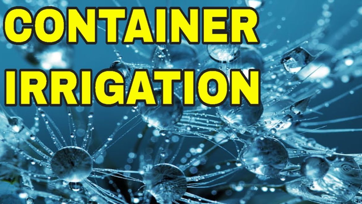 💦DIY DRIP IRRIGATION IN A CONTAINER GARDEN 💦 HOW TO AUTOMATICALLY WATER CONTAINERS🍉🌾🍅 🌽