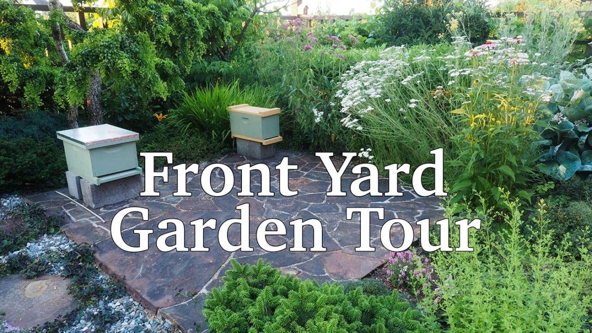Front Yard Garden Tour