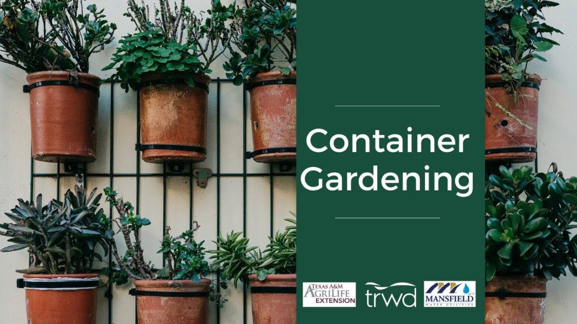 Container Gardening