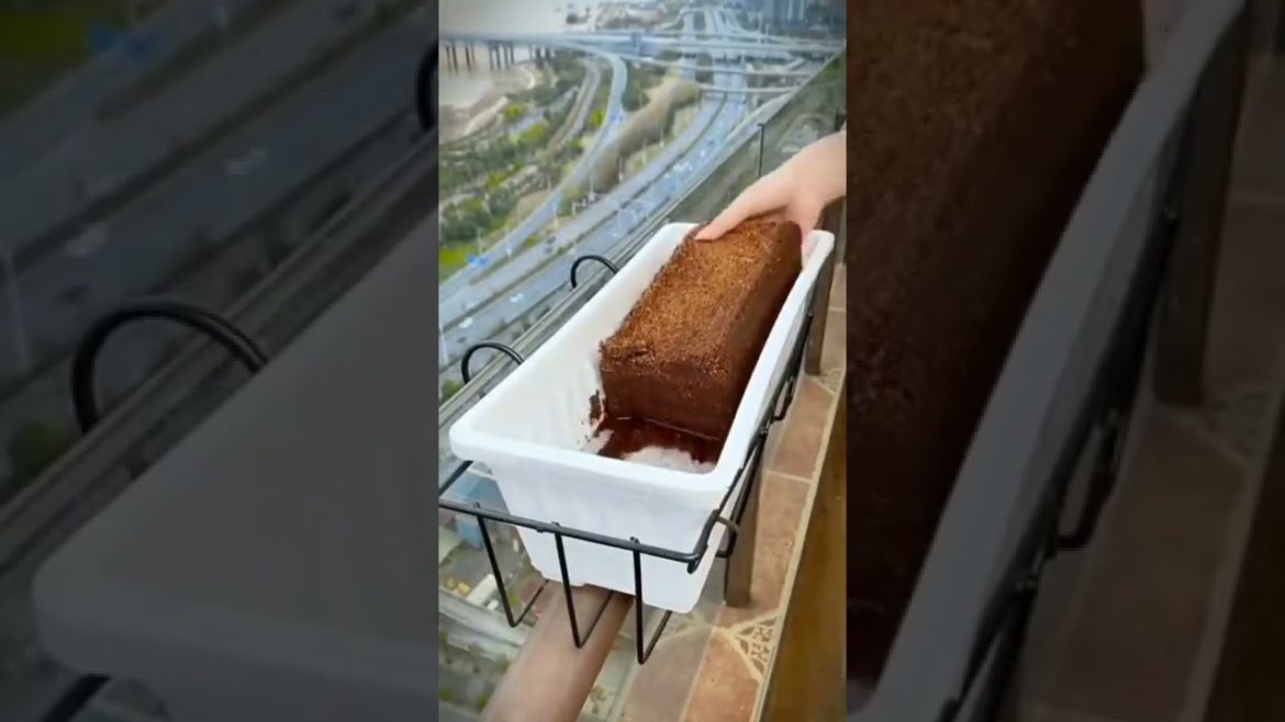 Garlic growing 🌱🌱 #gardening #youtubeshorts #shorts #ternding #trends