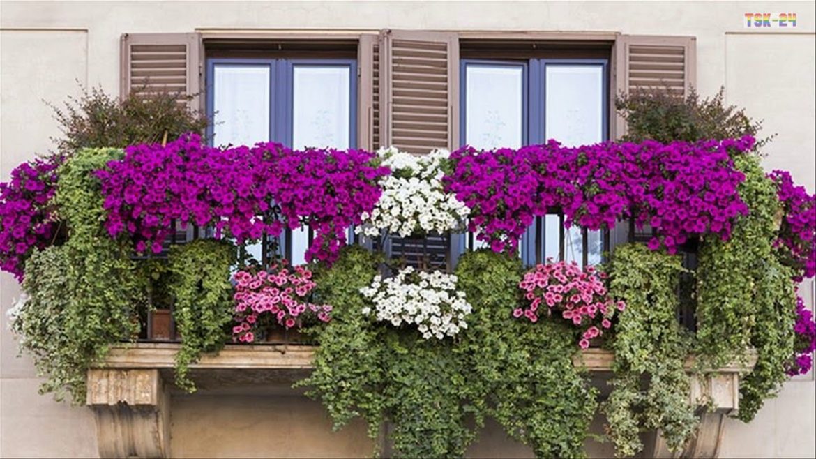 Best Small Balcony Garden Design Ideas – Beautiful House Best Small Balcony Garden Design Ideas - Beautiful House