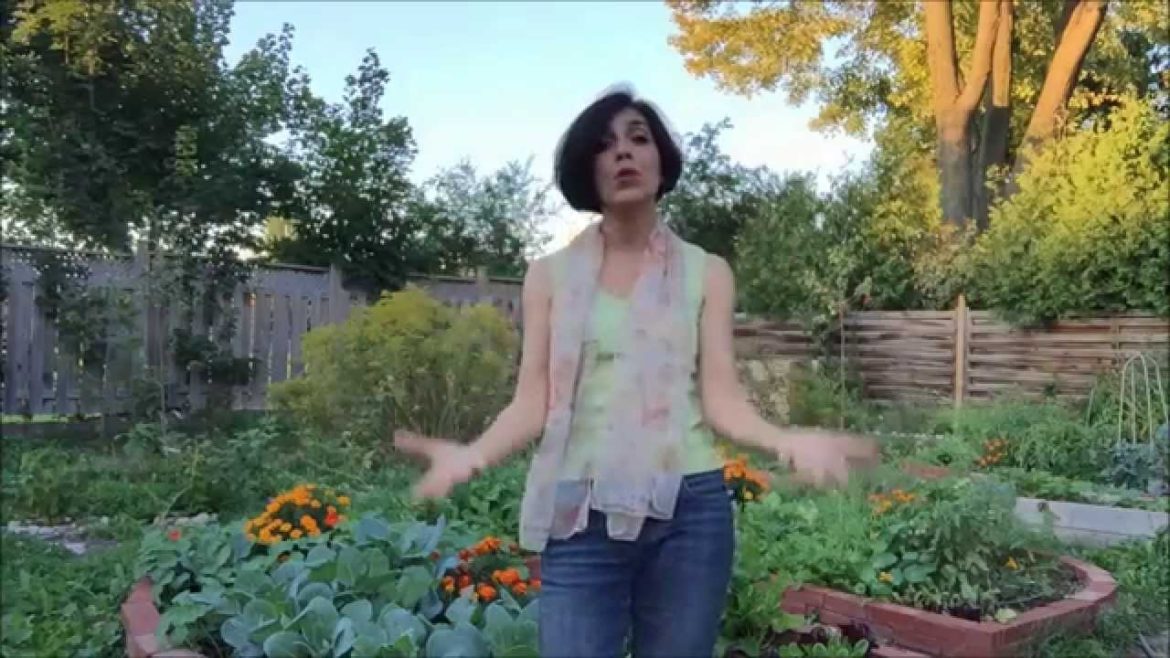 Edible Gardening in Schools: How to Get My Help This Fall