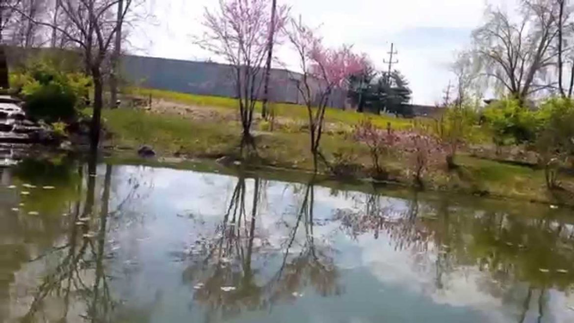 Kawachinagano Japanese Garden