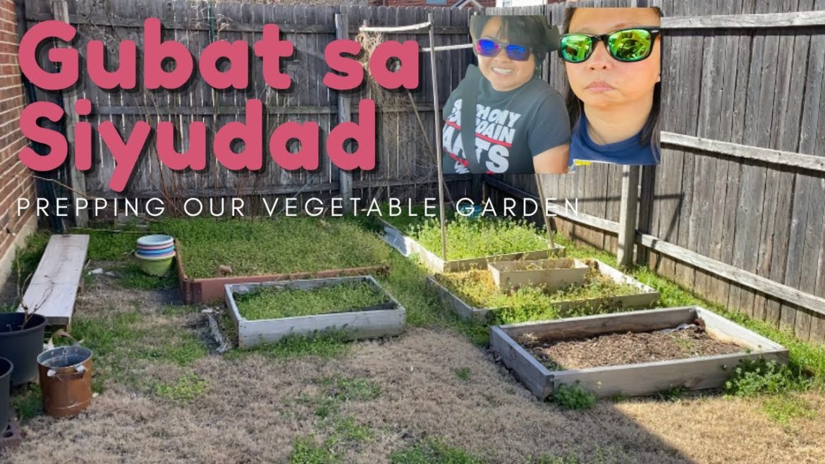 Vegetable Gardening For Beginners | Small Spaces | Vegetable Garden in Texas | Tour With Us