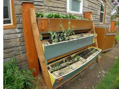 Small kitchen garden Small kitchen garden