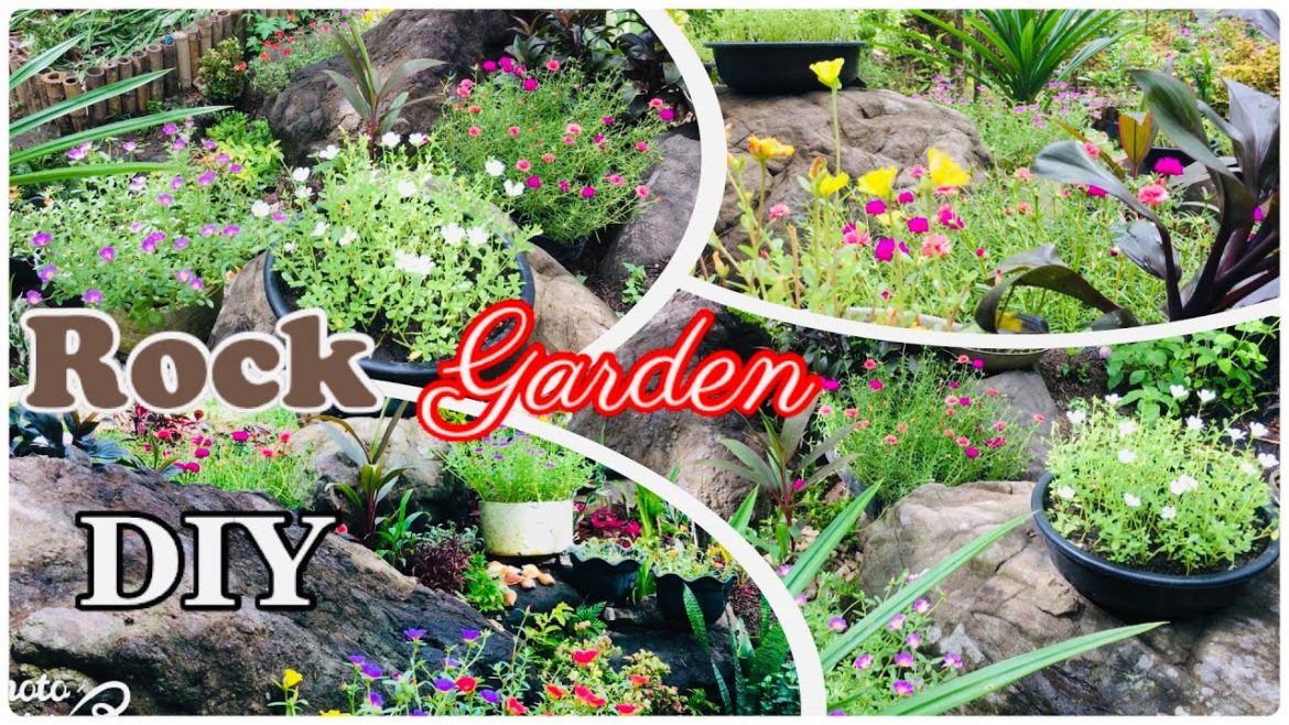 DIY Rock Garden Design/LANDSCAPING USING PORTULACA CUCHARITA And Many Other Plants @ zero cost DIY Rock Garden Design/LANDSCAPING USING PORTULACA CUCHARITA And Many Other Plants @ zero cost