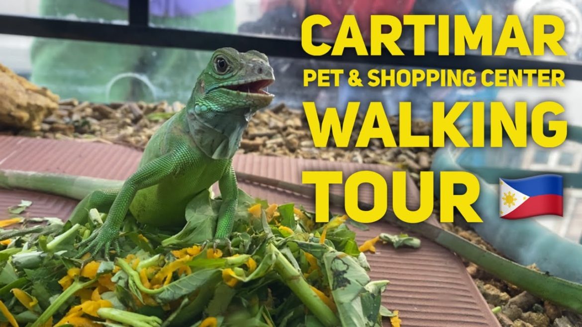 Cartimar Shopping and Pet Center Walking Tour Manila Market Gardening Supply Korean Japanese Grocery
