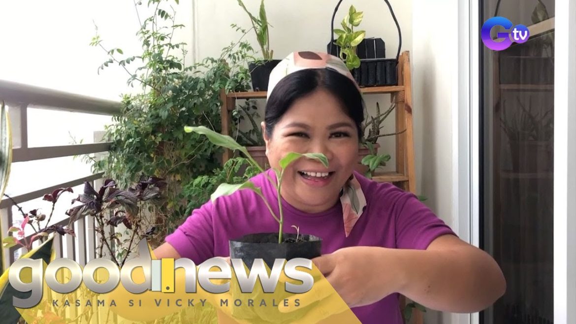 Good News: Edible gardening hacks, alamin!