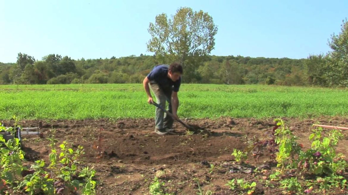 Vegetable Gardening : How to Build a Raised Garden Bed Vegetable Gardening : How to Build a Raised Garden Bed
