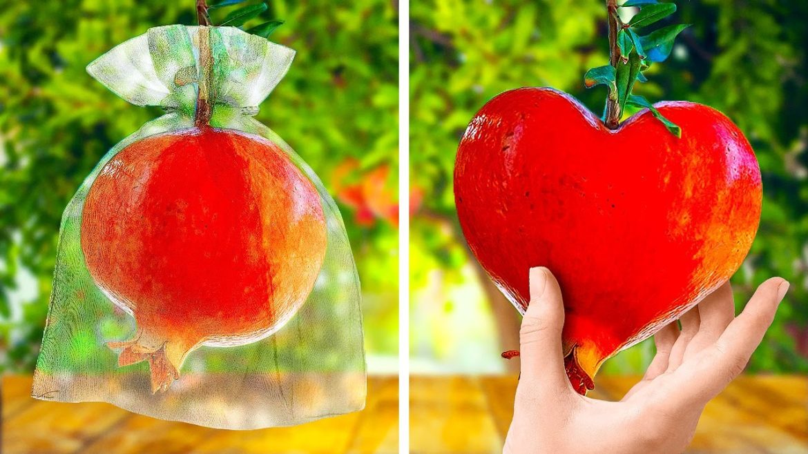 Brilliant Gardening Hacks And Tips That Will Make Your Garden Shine