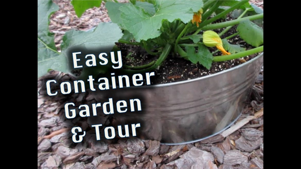 Easy Container Garden, Tips & Tour Easy Container Garden, Tips & Tour