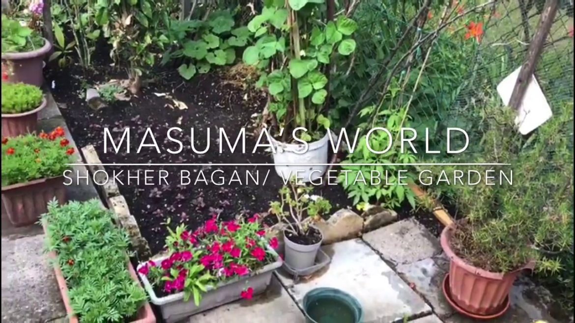 Vegetable Gardening|| Shokher Bagan