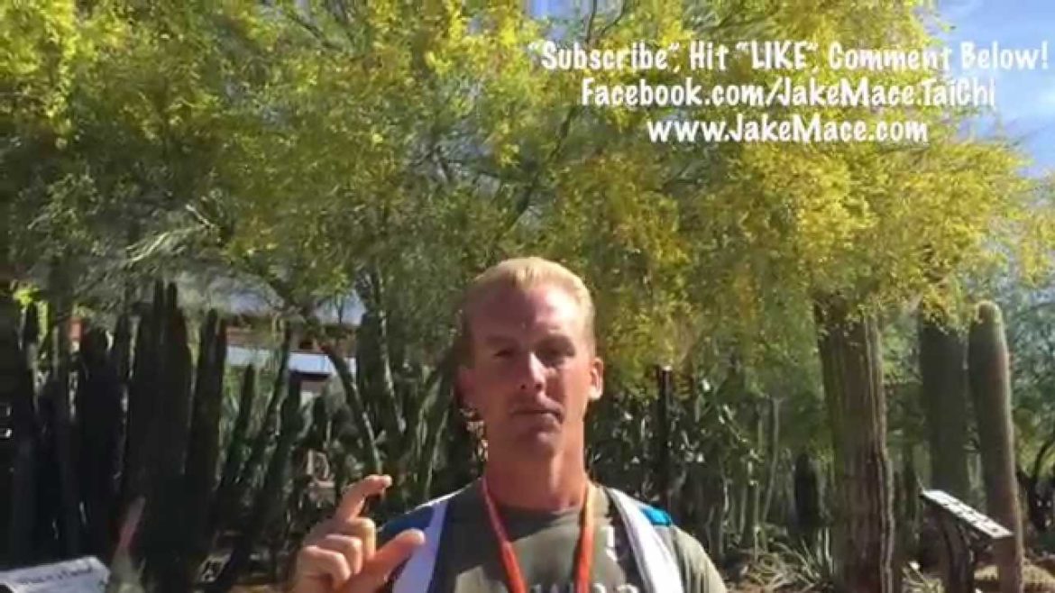 5 Edible Plants for an Arizona Desert Garden 5 Edible Plants for an Arizona Desert Garden