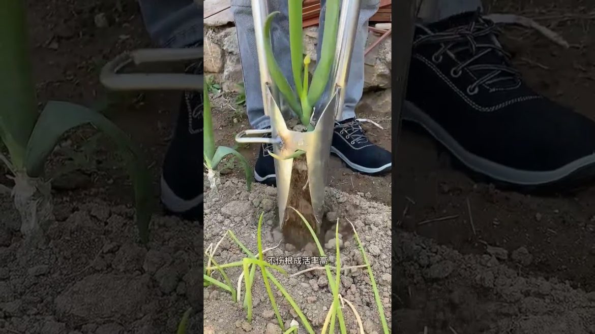 Gardening Tools Set#shorts