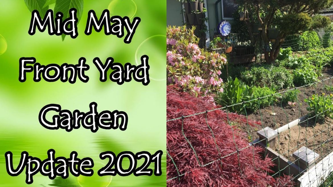 Mid May Front Yard Garden Update 2021