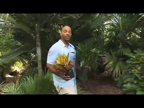 Expert Gardener William Moss' Tips on How to Take Care of Houseplants Expert Gardener William Moss' Tips on How to Take Care of Houseplants