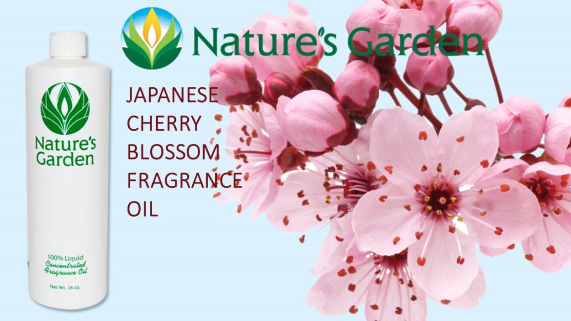 Japanese Cherry Blossom Fragrance Oil- Natures Garden