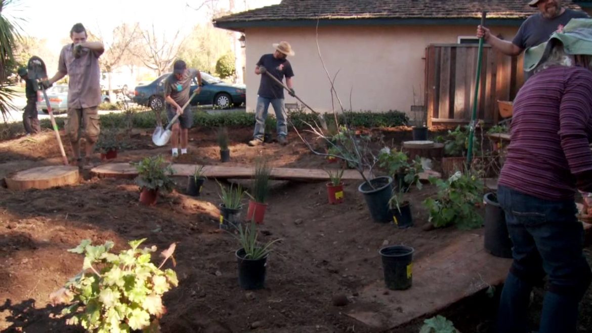 Installing a California native plant garden