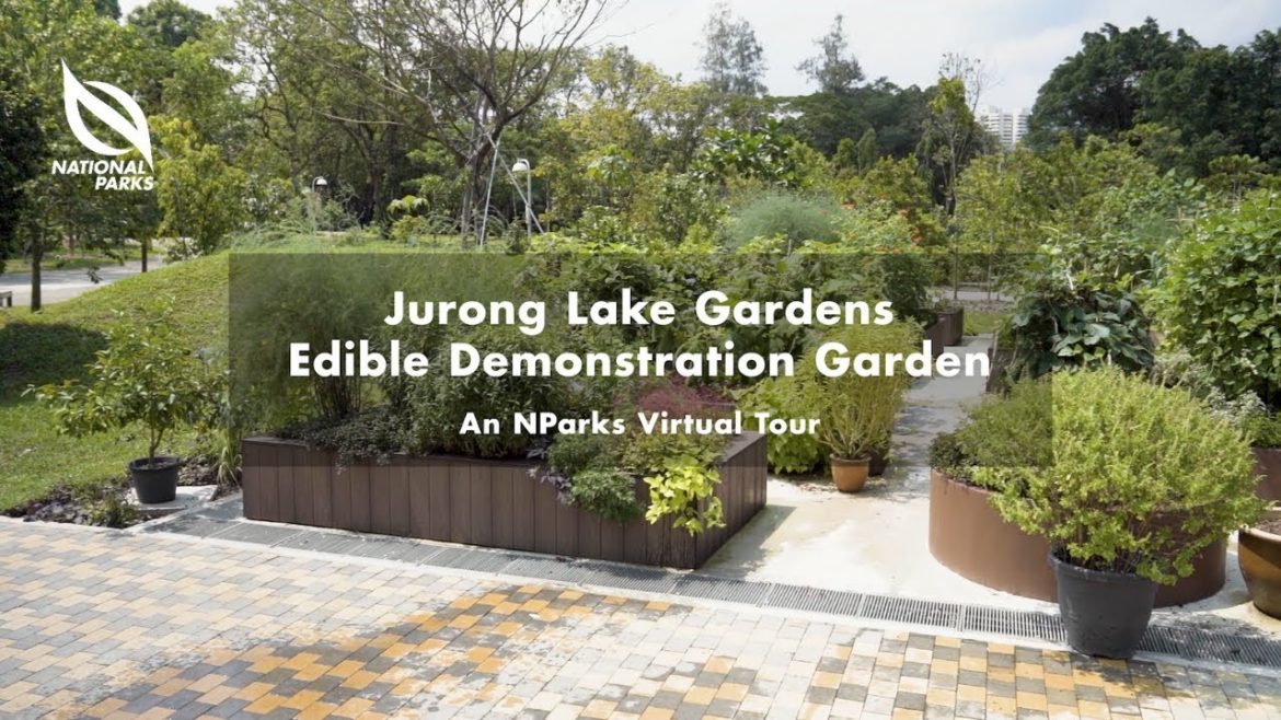 Jurong Lake Gardens Edible Demonstration Garden | SustainableFest 2022