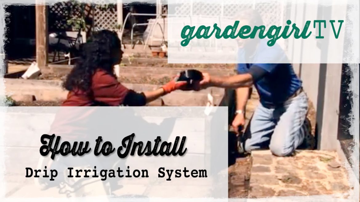 Vegetable Gardening: How to Install a Drip Irrigation System