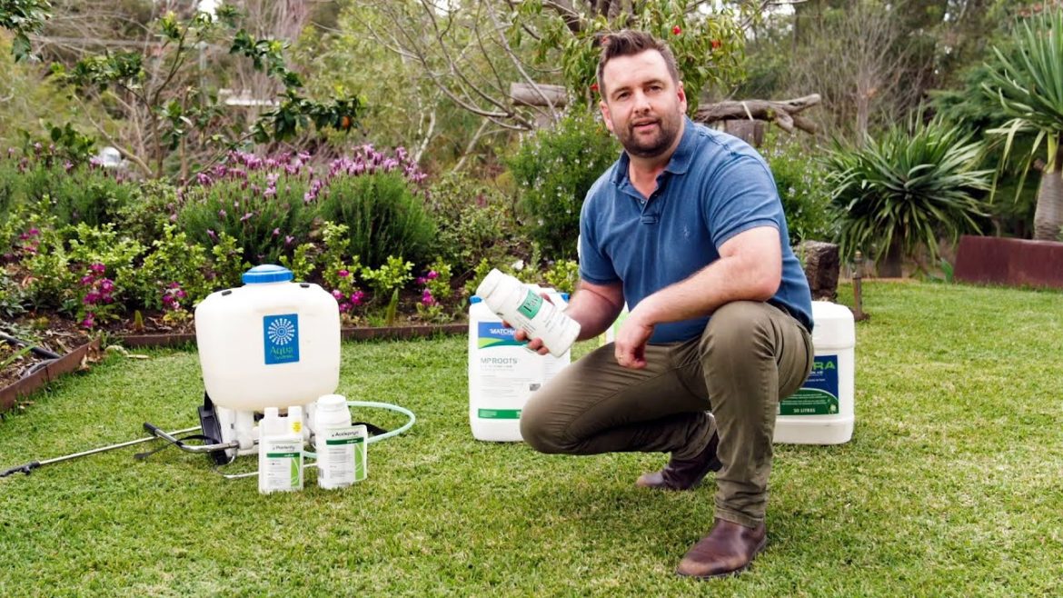 The Garden Gurus - Lawn Care Tips