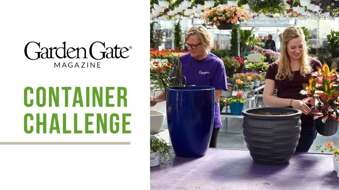 Garden Gate Container Garden Challenge Garden Gate Container Garden Challenge