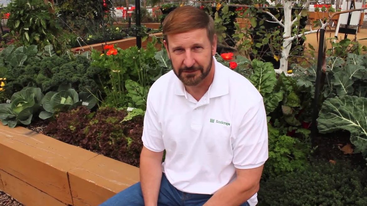 Learn About Gardening - How to Select a Garden Site