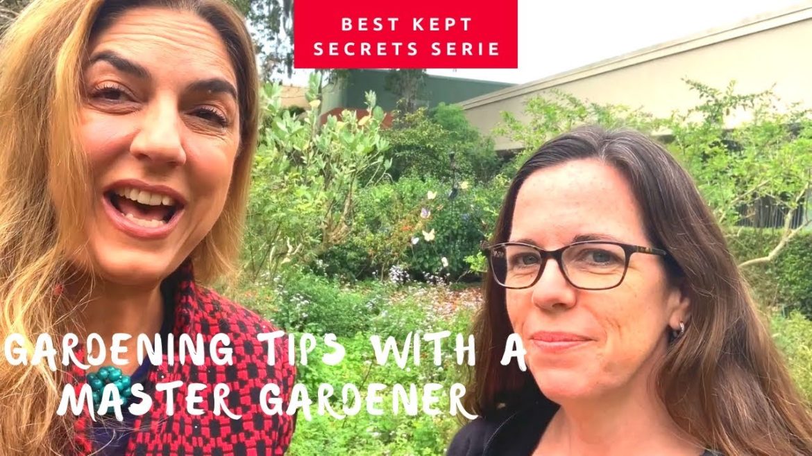 Gardening Tips With A Master Gardener