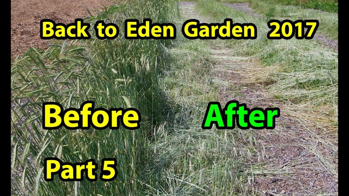 NO TILL B2E Organic Vegetable Gardening Method for beginners 101 Soil Improvement with Mulch  Part 5