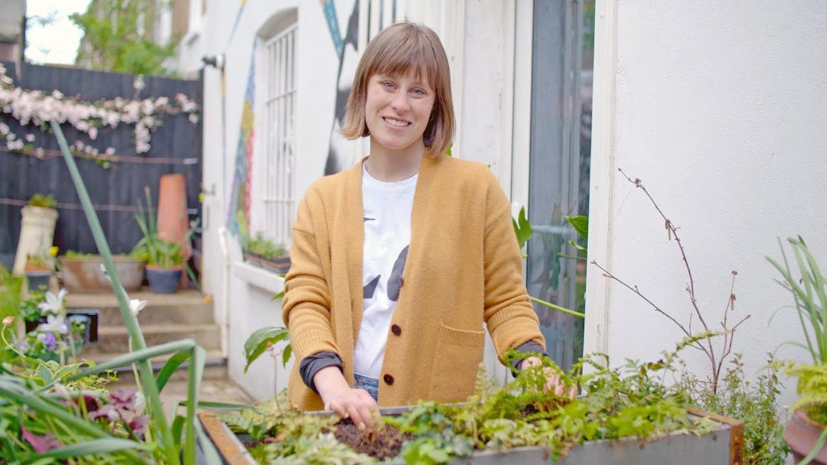 How to plant your small spaces: Telegraph gardening tips