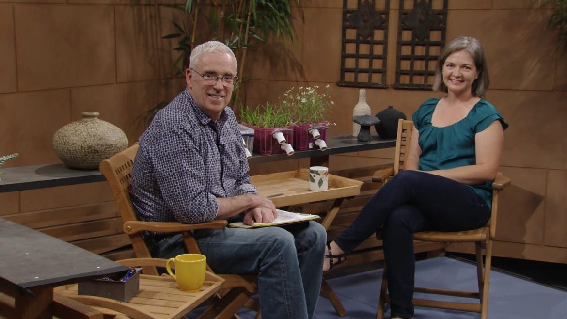 Rain Garden Design |Jessica Wilson |Central Texas Gardener