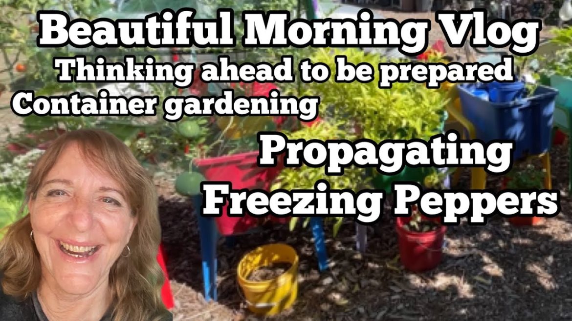 Morning Vlog Tips To Make Gardening EASY, Preparing for Next Spring, Propagating, Freezing Peppers Morning Vlog Tips To Make Gardening EASY, Preparing for Next Spring, Propagating, Freezing Peppers