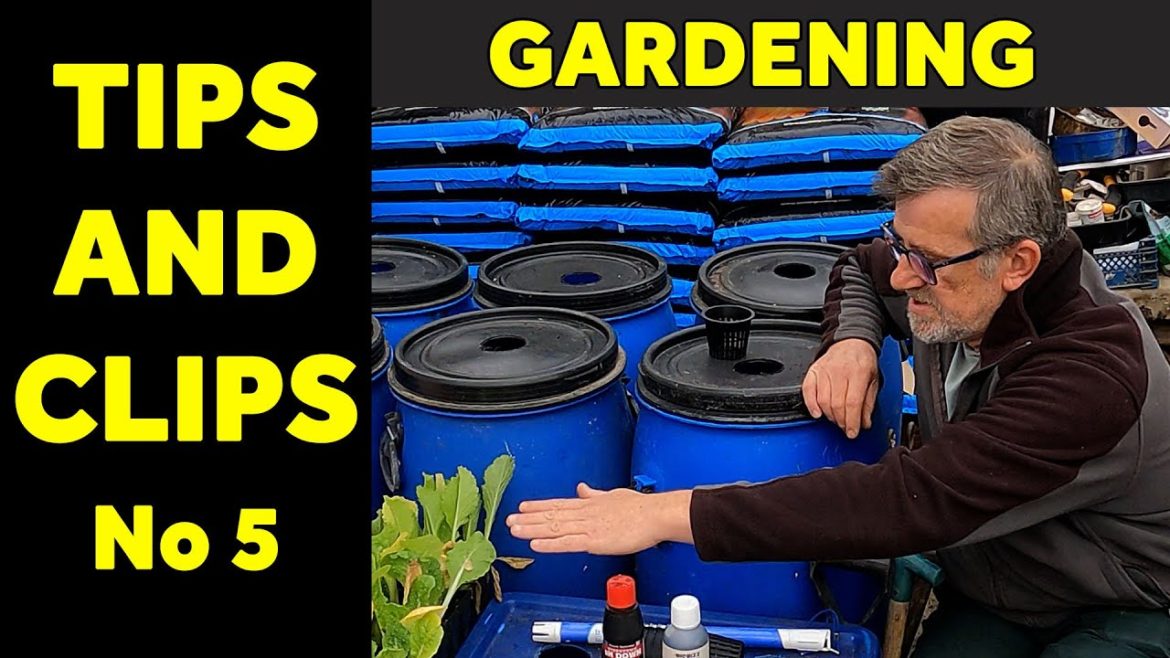 Tips and Clips | Garden Hacks | Useful Tips | Number 5 | Green Side Up Tips and Clips | Garden Hacks | Useful Tips | Number 5 | Green Side Up