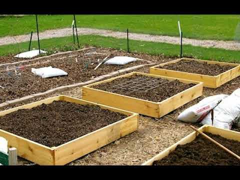 Small raised bed vegetable garden Small raised bed vegetable garden