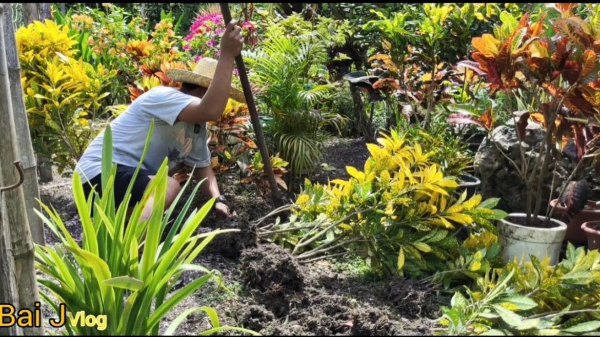 DIY: New Garden Design|| Garden makeover part 2 sa aming munting hardin