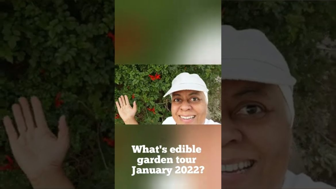 What's edible garden tour January 2022? #shorts