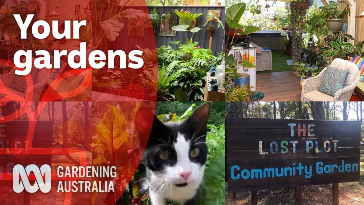 Your gardens of 2020 | Garden design and inspiration | Gardening Australia