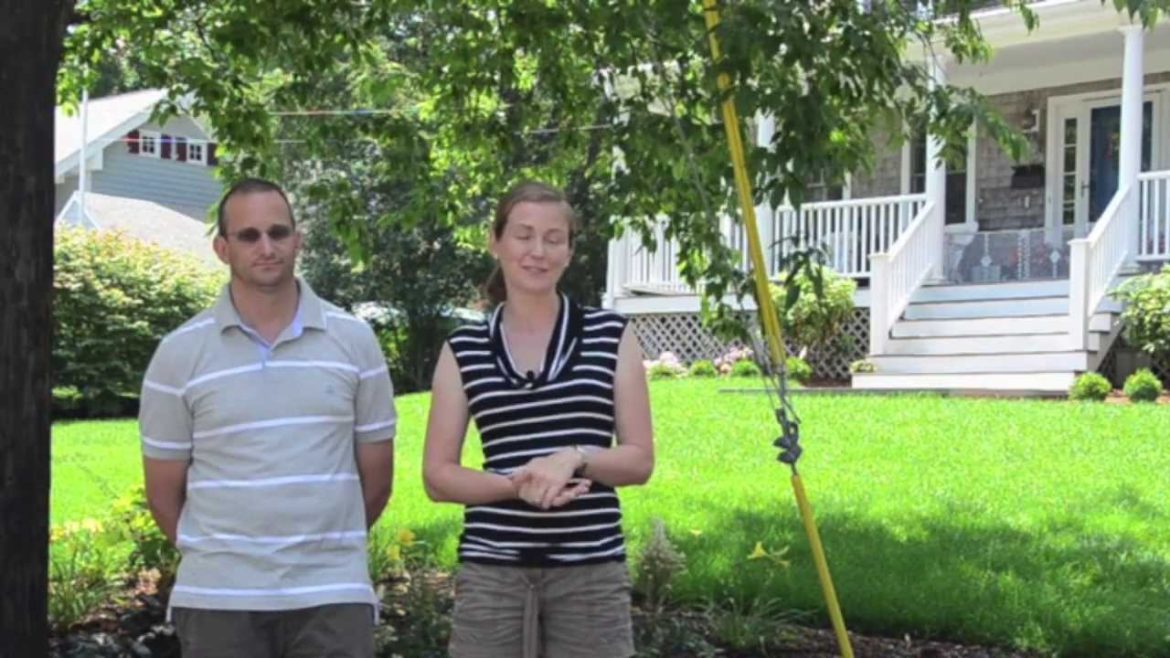 Seoane Front Yard Landscape