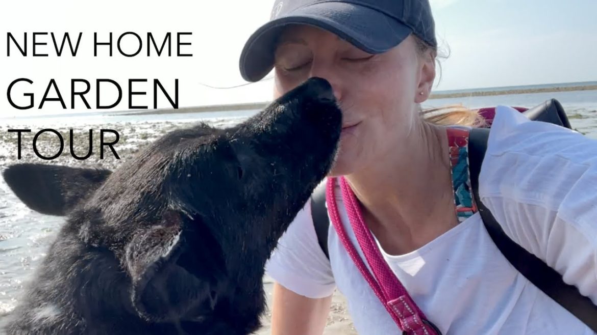 OUR NEW HOME BY THE BEACH | GARDEN PLANS & HOME UPDATES | SILVIA & THE GIRLS ๐ผ๐ป OUR NEW HOME BY THE BEACH | GARDEN PLANS & HOME UPDATES | SILVIA & THE GIRLS ๐ผ๐ป