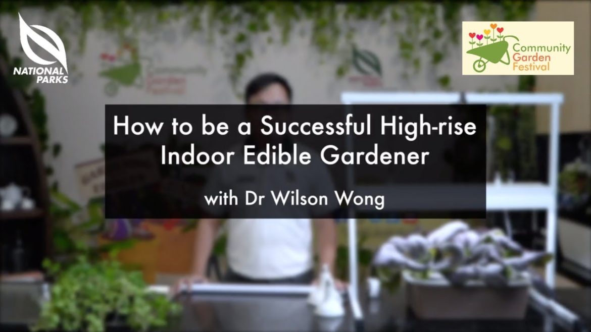 How To Be A Successful High-Rise Indoor Edible Gardener | Community Garden Festival 2020 How To Be A Successful High-Rise Indoor Edible Gardener | Community Garden Festival 2020
