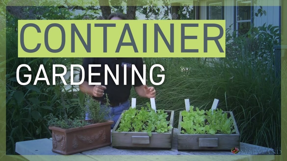 Container Gardening: An Easy Way to Grow Your Own Food