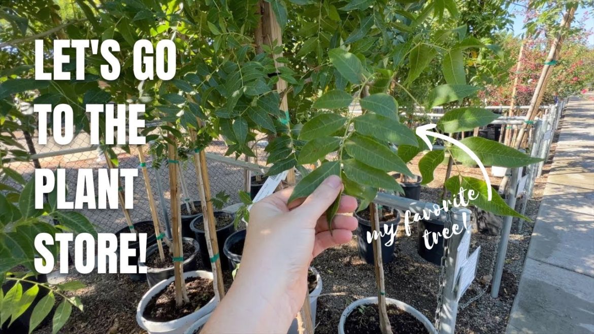 Garden Supplies Shopping and Looking At Trees! 🌳 :: Dig, Plant, Water, Repeat