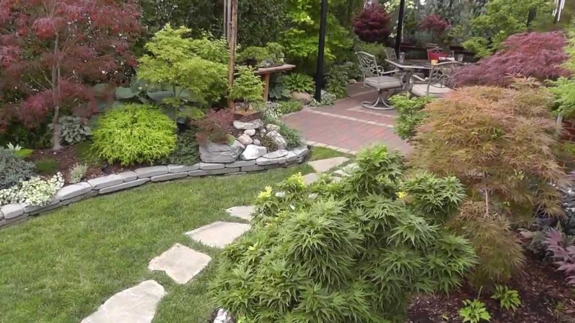 The Summer Garden - Japanese Maple Garden - Back yard tour