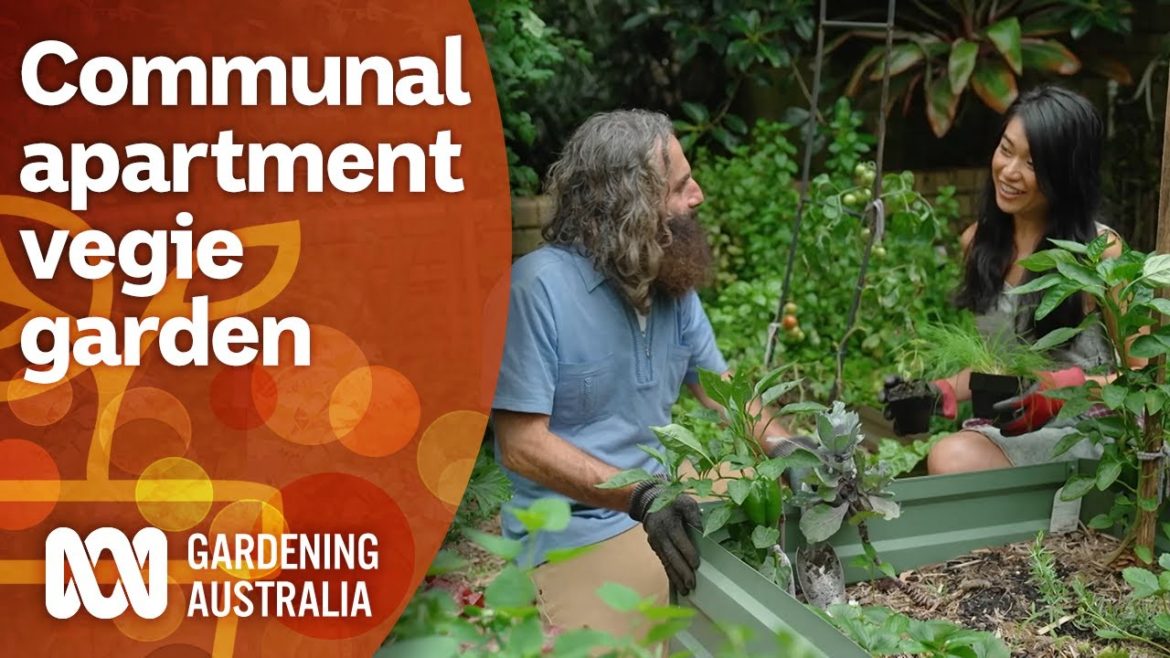 An apartment's thriving communal vegie garden | Garden Design and Inspiration | Gardening Australia