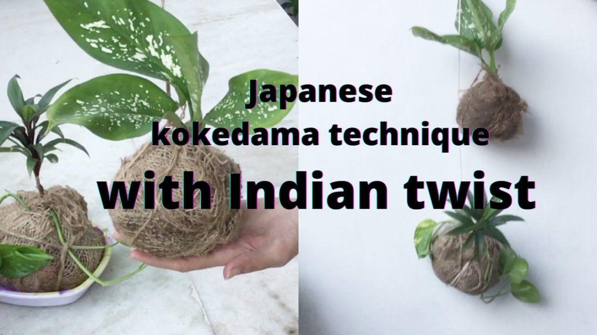 How I grow small plants without pot//Japanese gardening technique kokedama //Best DIY for gardener