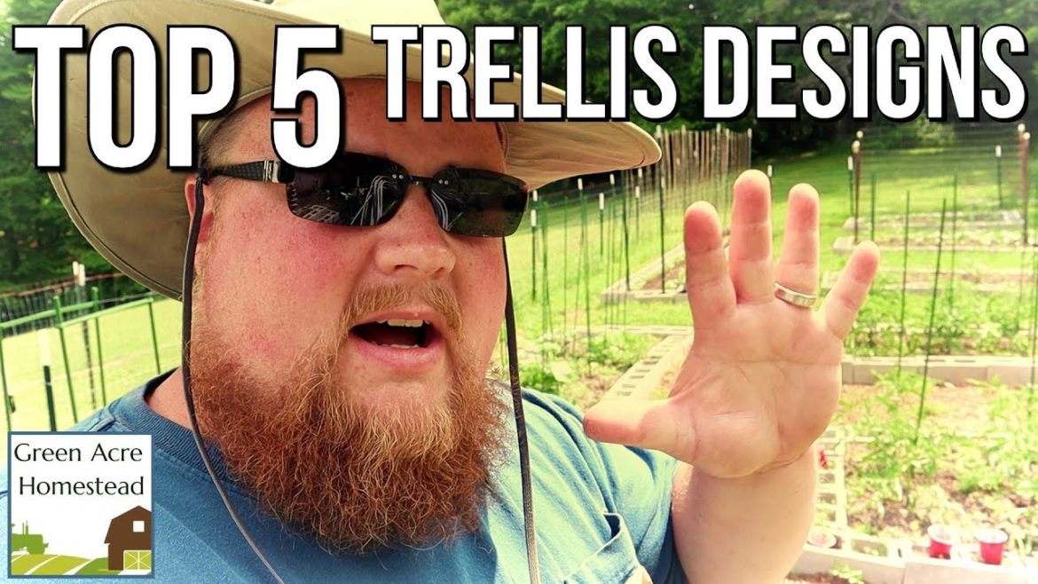 Top 5 Garden Trellises that Work!!! | Gardening | Homesteading Top 5 Garden Trellises that Work!!! | Gardening | Homesteading